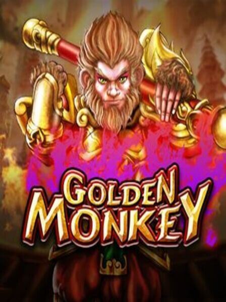 Poker Việt Nam: Tìm hiểu về các giải đấu lớn và hấp dẫn